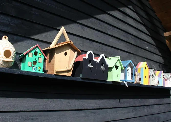 Spacious In With Garden